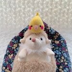 ちょこんと帽子（オカメインコ）