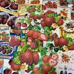 (再販×9)🍓イチゴの紙ものセット🍓＊コラージュ素材＊ジャンクジャーナル