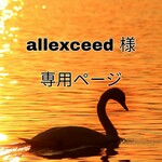 allexceed様専用ページ☆ジェルネイルチップ☆付け爪