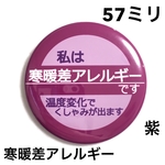 寒暖差アレルギー缶バッジ　57ミリ（紫）