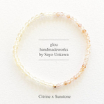 【リーダーシップ】Citrine x Sunstone 