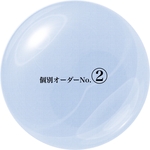 ＊個別オーダーNo.②様専用ページ＊