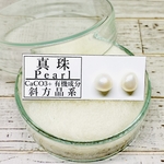✴︎No.446✴︎希少✴︎鉱物標本✴︎ フレッシュウォーター パールのピアス