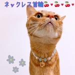 猫の首輪🐈ブルー系パールビーズ🌼ネックレス首輪♡ハートチャーム❤
