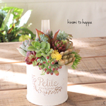 手のひらサイズ🌱グレーのブリキ缶に多肉植物の寄せ植え