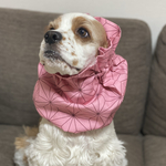 2021和柄◉濃いピンク　中型犬用スヌード　犬用スヌード