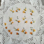 押し花素材　No827　メラスフェルラのセット