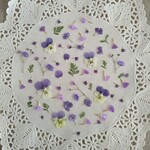 押し花素材　No918　パープルの小花のミックスセット
