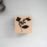 真冬の紫陽花 - Midwinter hydrangea - [ラバースタンプ]