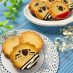 バレンタイン♡セキセイインコ のチョコがけクッキー　ブローチ/マグネット