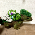 プラテリーア🍀