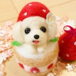 羊毛フェルト 苺ケーキ  マルチーズ ♬.*ﾟ ぬいぐるみ 犬 ミニチュア スイーツ