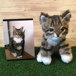723様オーダーメイド品(愛猫ちゃん赤ちゃん猫の頃)