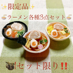 【限定品】ラーメン各種3点セット🍜モチーフのみ