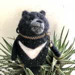 ツキノワグマコインケース1
