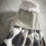 冬のワンピース　ドット  犬服  