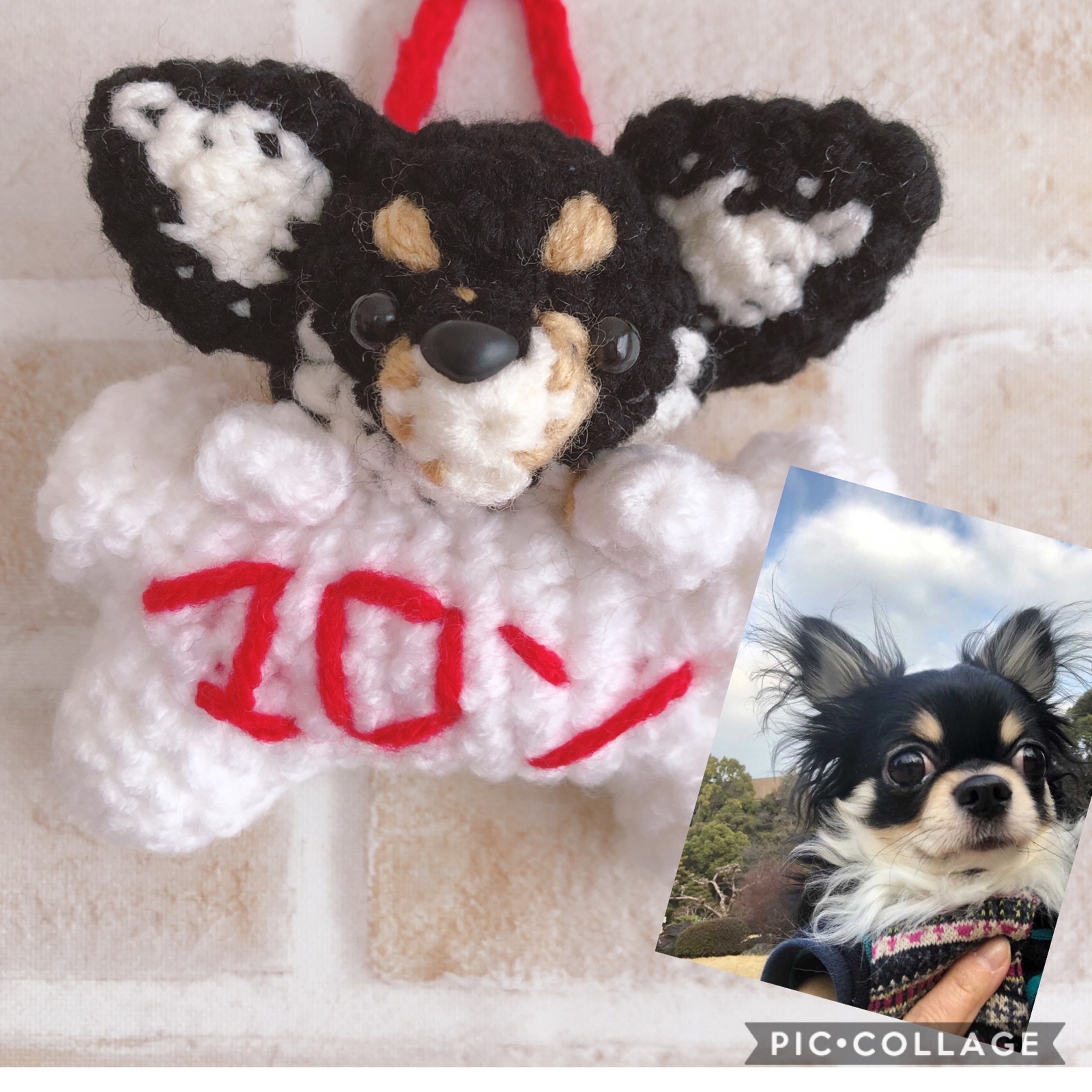 チワワのネームプレート♡ 愛犬のあみぐるみ 母の日、父の日