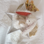 スヤスヤお昼寝うさちゃん🐇♡ アメリカンファジーロップ