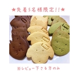 ★☆先着5名様限定☆★  送料無料　【レビューして下さる方のみ】手作りクッキー　大　お試しセット　