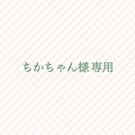 ちかちゃん様 専用 別マチミニトート ララチューン おめかしボーダー ファンシーミント ピンクドット