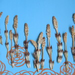 押し花素材　つくし