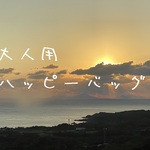 大人用Mサイズ ハッピーバッグ　ラスト１セット