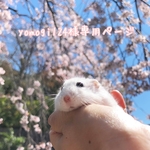 yomogi124様専用ページ