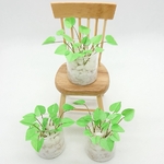 ミニチュア観葉植物 🌱ポトス・ライム🌱