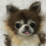 羊毛フェルト　チワワ