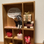 P様ご予約品⭐︎オーダーアイテム♪うちの子ちゃんBOX