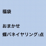 蝶バネイヤリング　福袋