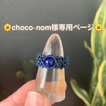🌼choco-nom様専用ページ🌼