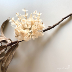 ［専用］ベビー・キッズ リーフ王冠　　Couronne de Feuilles  écru