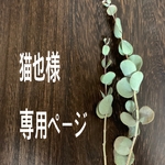 猫也様専用ページ