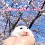 gomaayako様専用ページ