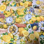 (再販×26)🍋レモンの紙ものセット🍋＊コラージュ素材＊ジャンクジャーナル