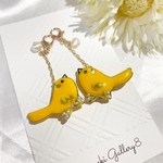 幸せの黄色いカナリヤ💛