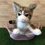 a様オーダーメイド品(愛猫ちゃん子猫)