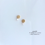 new▷stardust×zirconia　ピアス/ノンホールイヤリング/ノンホールピアス 受注製作＊S2