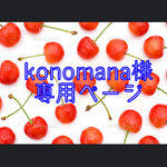 ✳︎konomana様専用ページ✳︎