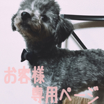 犬用首輪リードセット【オーダー品　１.5センチ幅】