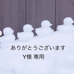 Y様 専用