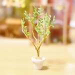 小さいオリーブの木