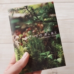 新作！ミニフォトブック ☆ たびりすのあしあと 2020 Summer〜Autumn 写真集