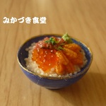 ミニミニ海鮮丼（３０）