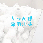 <ちゅん様　専用出品>