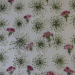 押し花 素材 レースフラワー　💐