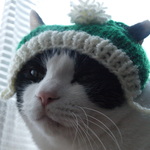 クリスマスにゃんこ帽子グリーン★猫用手編みサンタ帽子★ニット帽