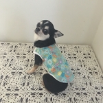 犬服* 青地にお花がいっぱいのタンクトップ