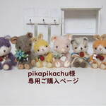 pikapikachu様専用ご購入ページ